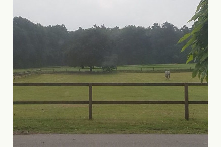 Vakantiehuisje aan de rand van het bos VMP005